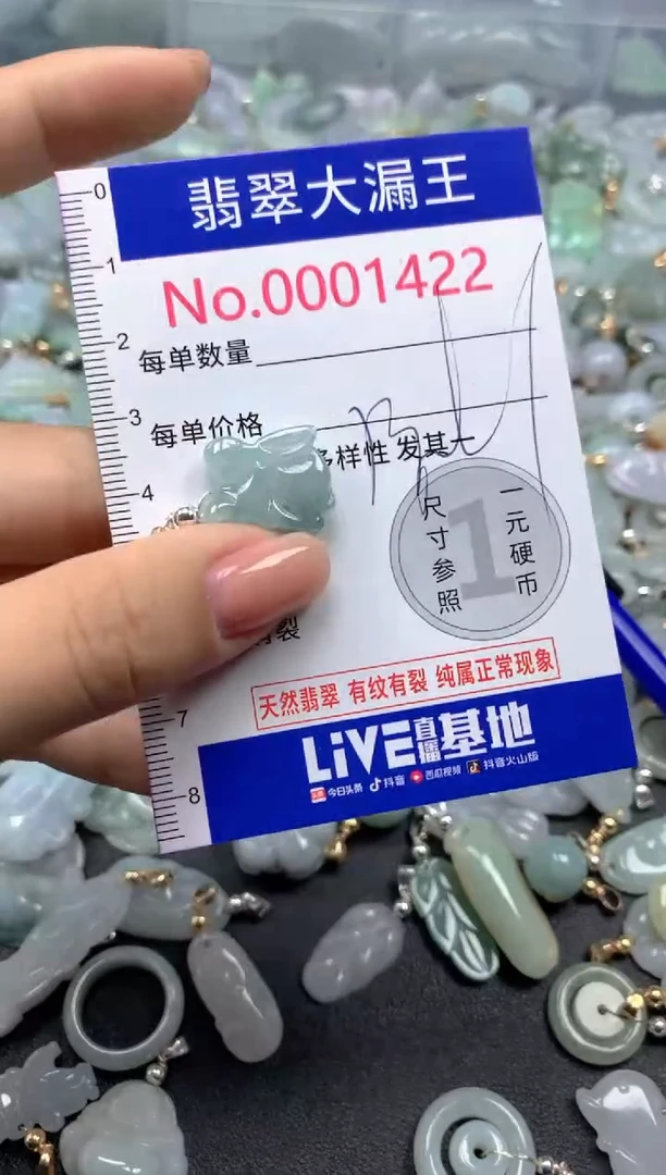 颈饰未镶嵌翡翠1422
