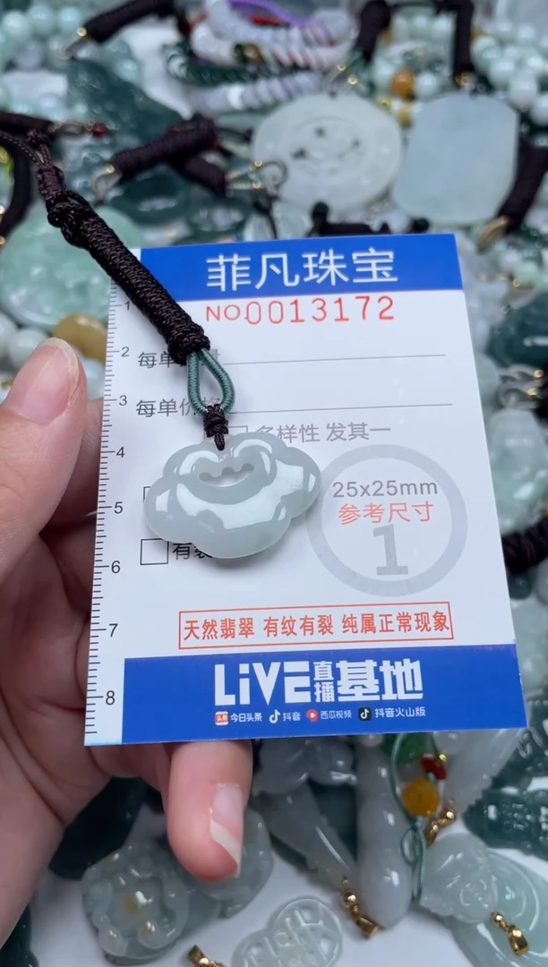 颈饰未镶嵌翡翠13172
