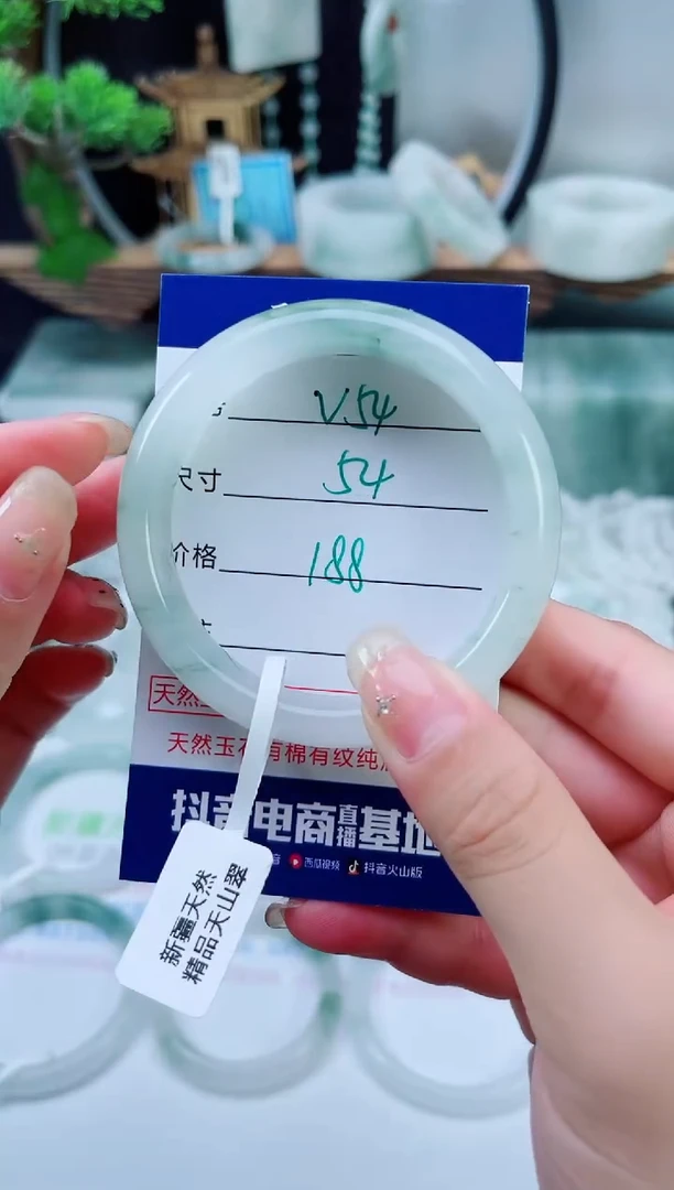 未镶嵌手镯石英质玉（天山翠）54