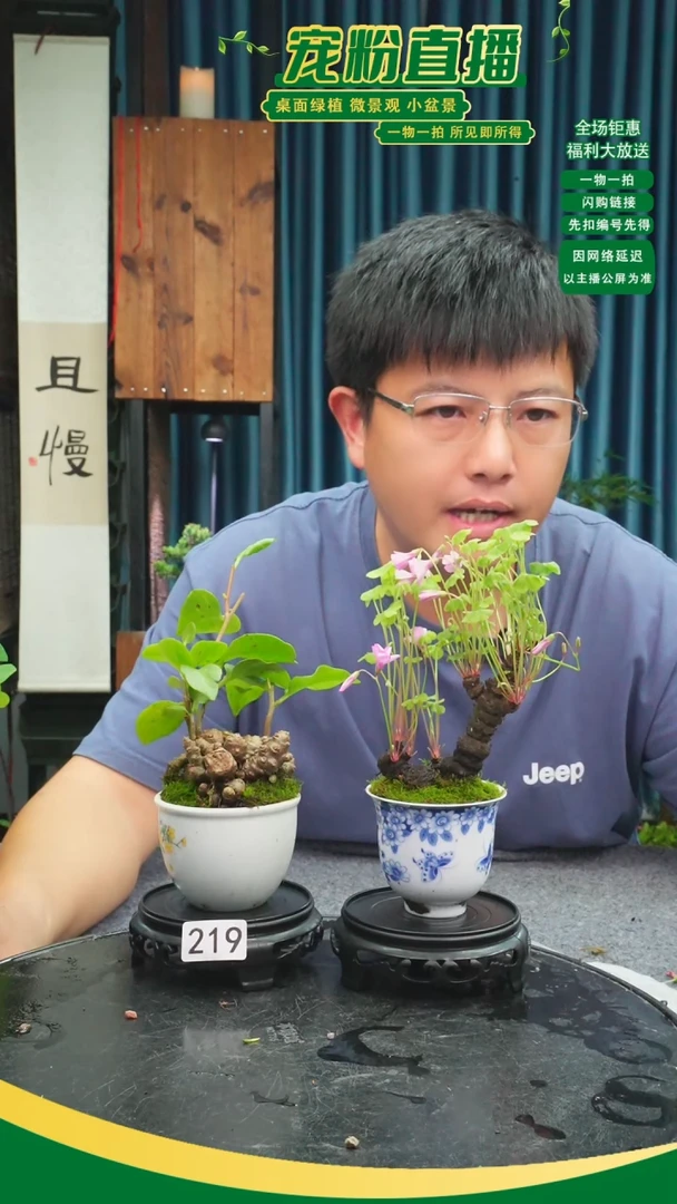 无花朵暖*苔藓微景观219号
