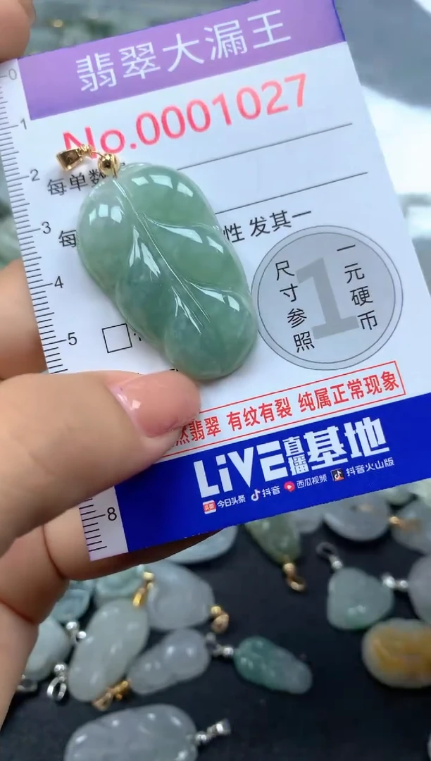 颈饰未镶嵌翡翠1027