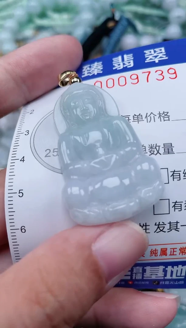 翡翠未镶嵌颈饰.0009739