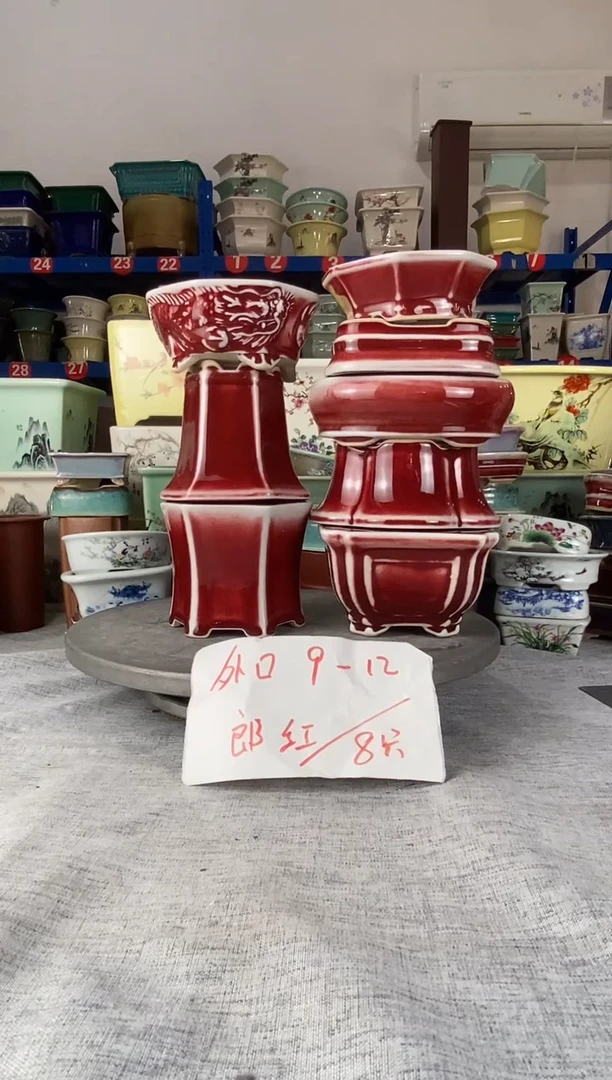 92207八只郎红花盆