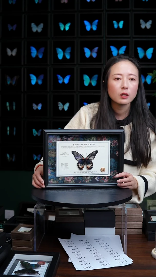 美凤蝶A4横框布艺款无尾