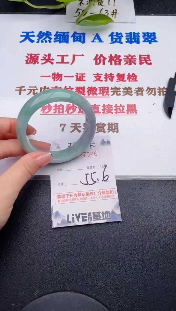 未镶嵌手镯翡翠26