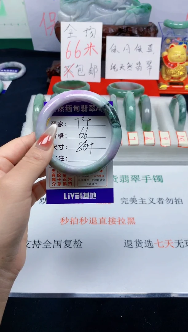 未镶嵌手镯翡翠74