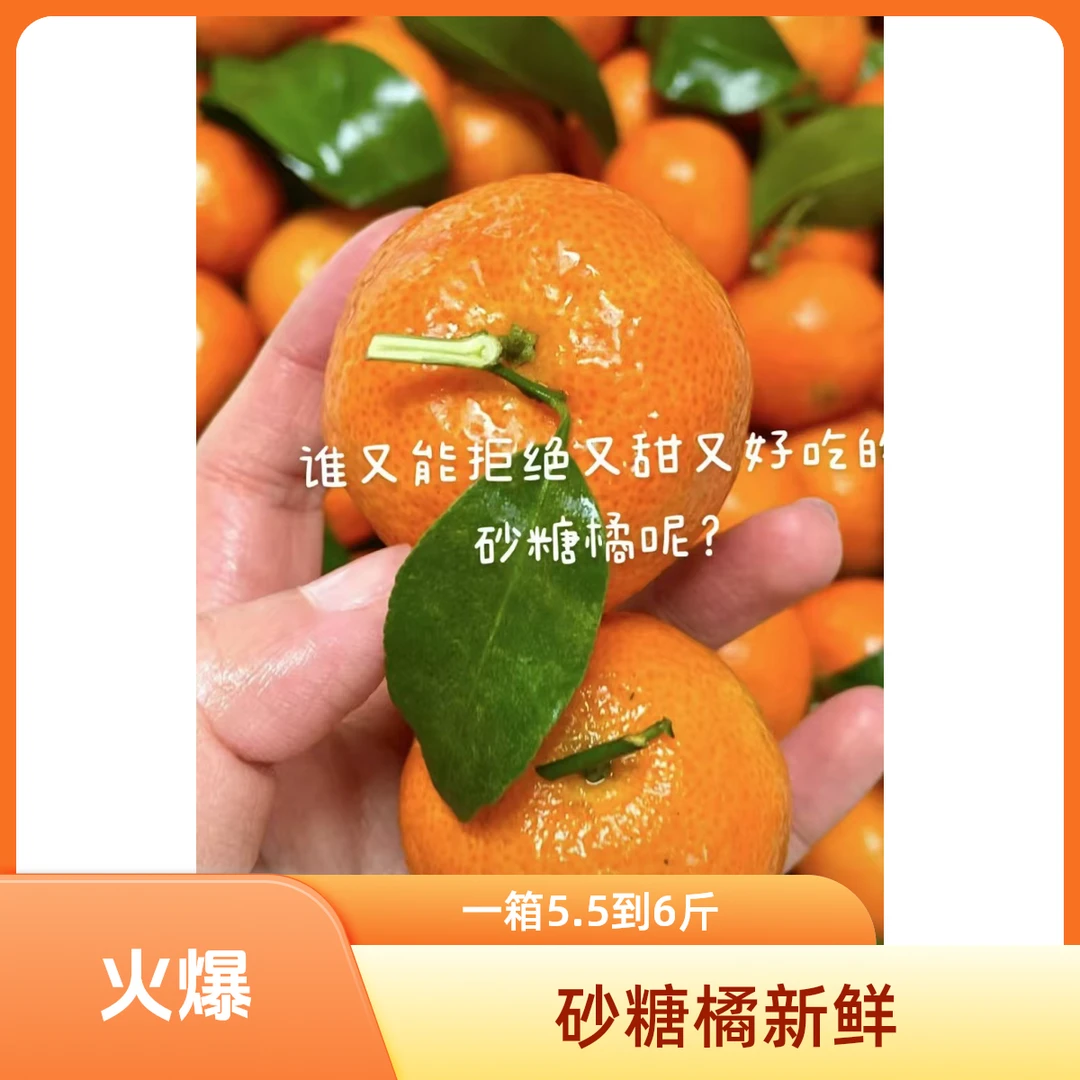 砂糖橘一箱 5斤 会有个别扎坏的介意不拍沙糖桔新加坡