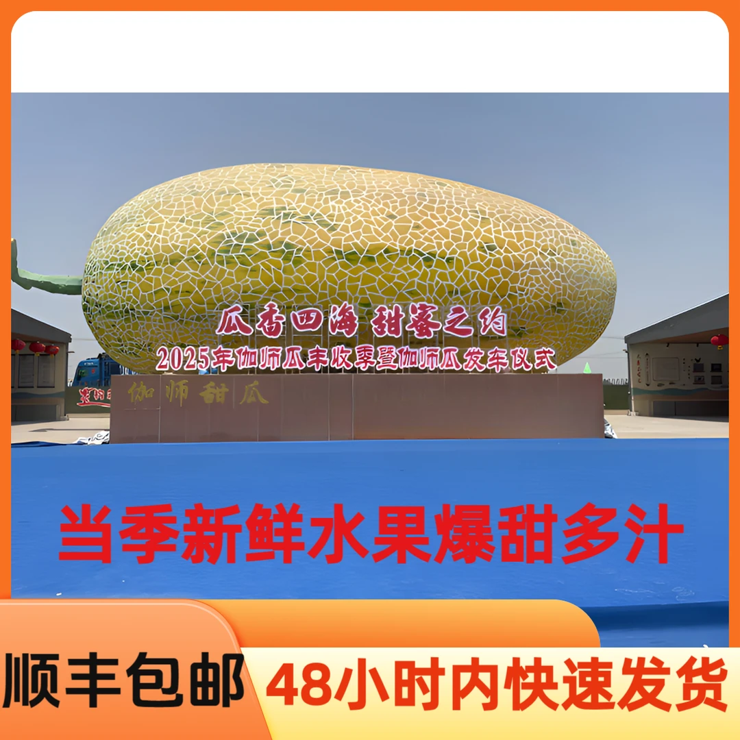 【顺丰包邮】新疆直发正宗伽师瓜八六王当季水果爆甜多汁