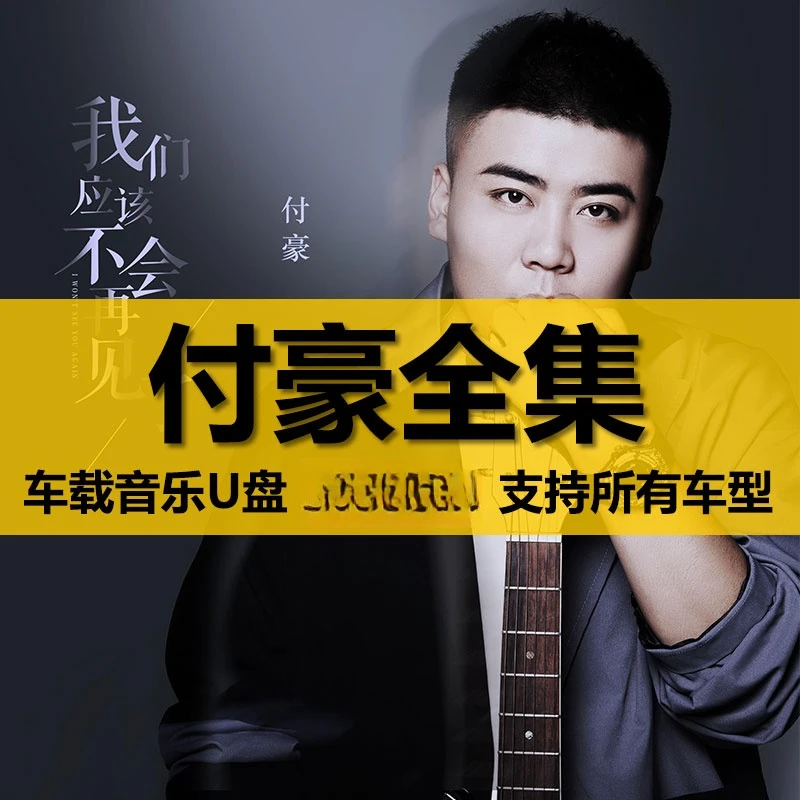 付豪U盘出道至今所有全集全部原声无损车载高品质车用音乐优盘