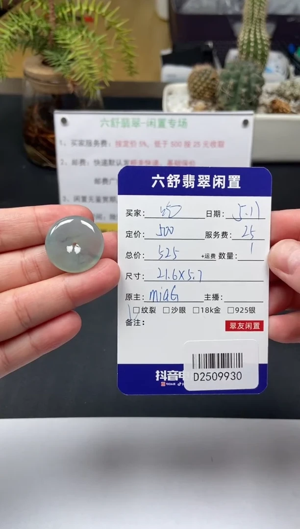 翡翠未镶嵌颈饰D2509930
