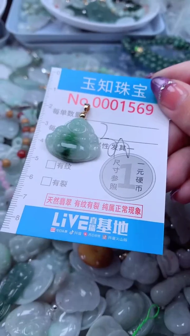 翡翠未镶嵌吊坠(不含链)1569