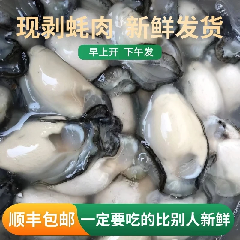 福建海蛎肉生蚝肉新鲜现开现发蚝烙紫菜海蛎煲顺丰包邮
