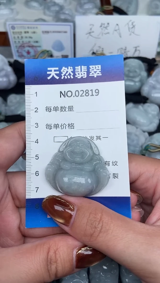 颈饰未镶嵌翡翠纯天然A货翡翠2819