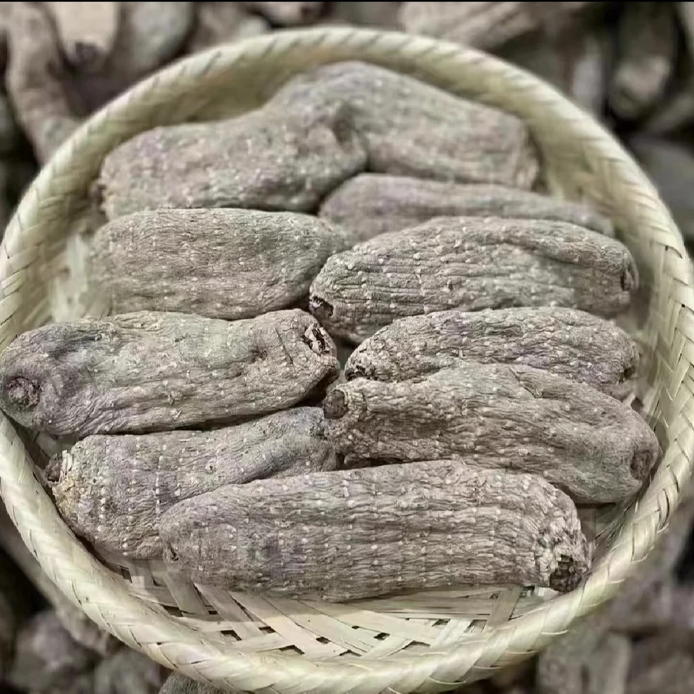 大山里的山货  乌天麻