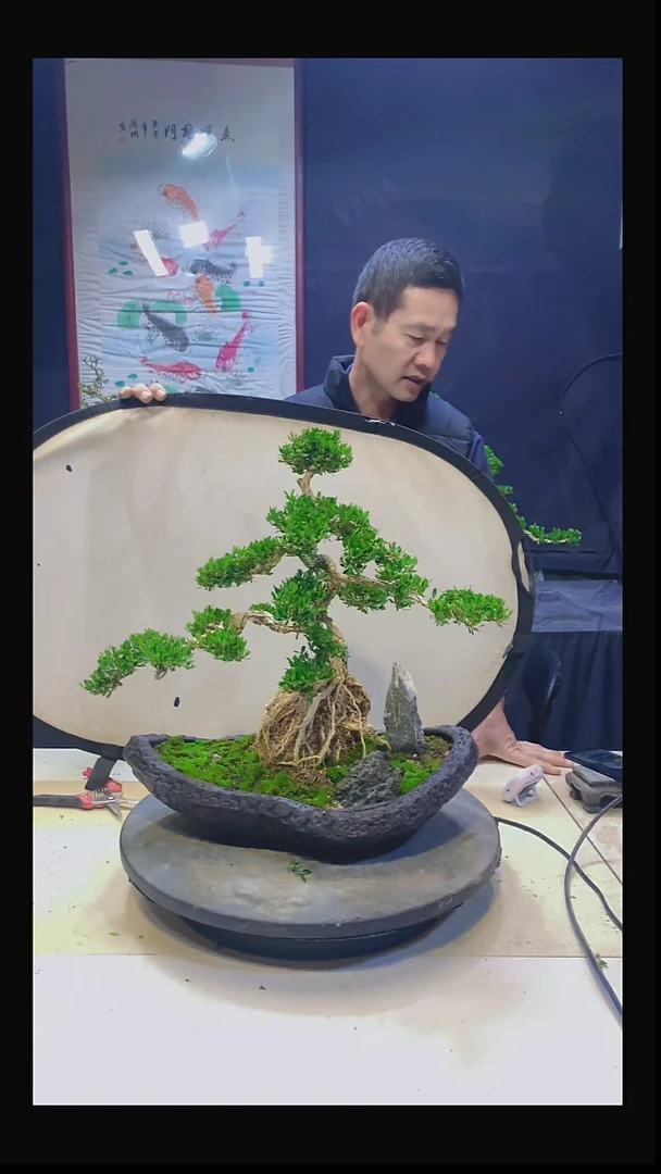 无花朵K****g111111111111