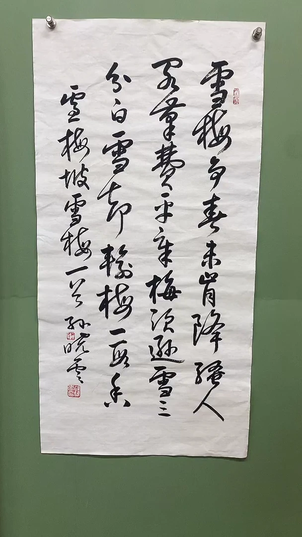 竖款精品三尺书法，雪梅