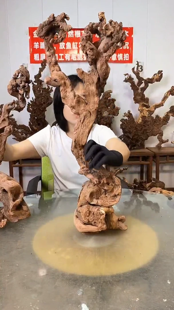 香榧木沈**用金丝红木   羊蹄甲