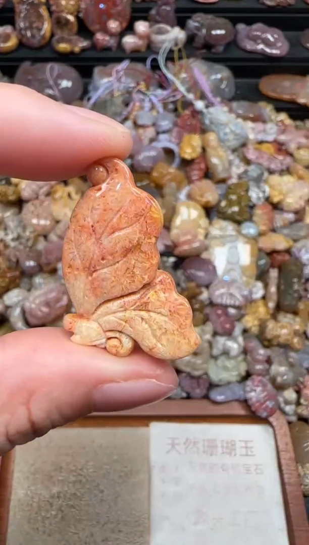 颈饰未镶嵌硅化珊瑚（珊瑚玉）043