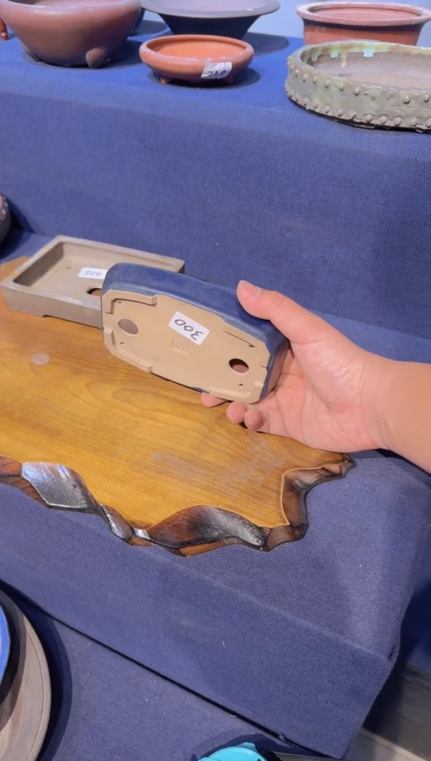 【闪购商品】红陶秋果蓝釉V66