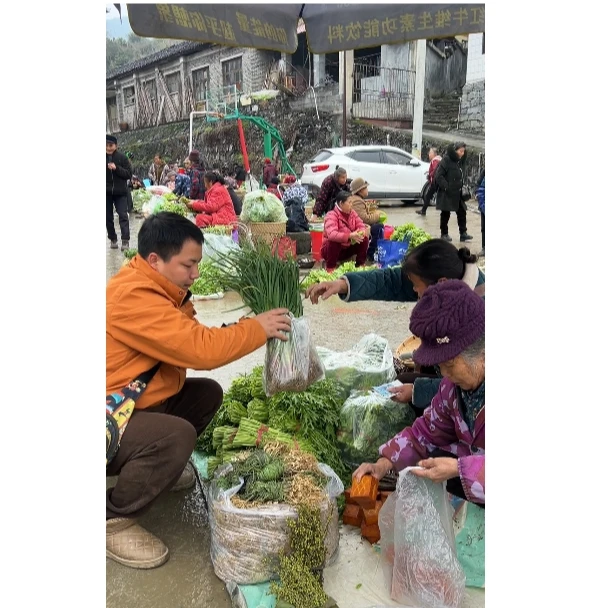 湘西赶集 现称现卖（综合链接）