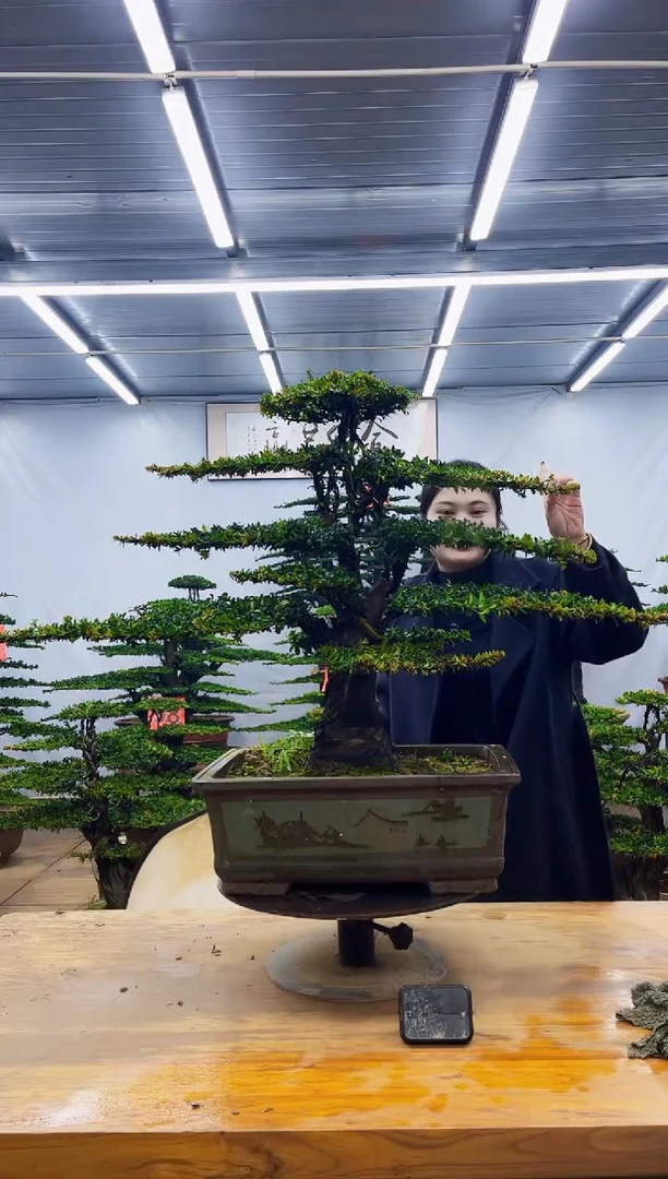 无花朵一物一拍，所见即所得