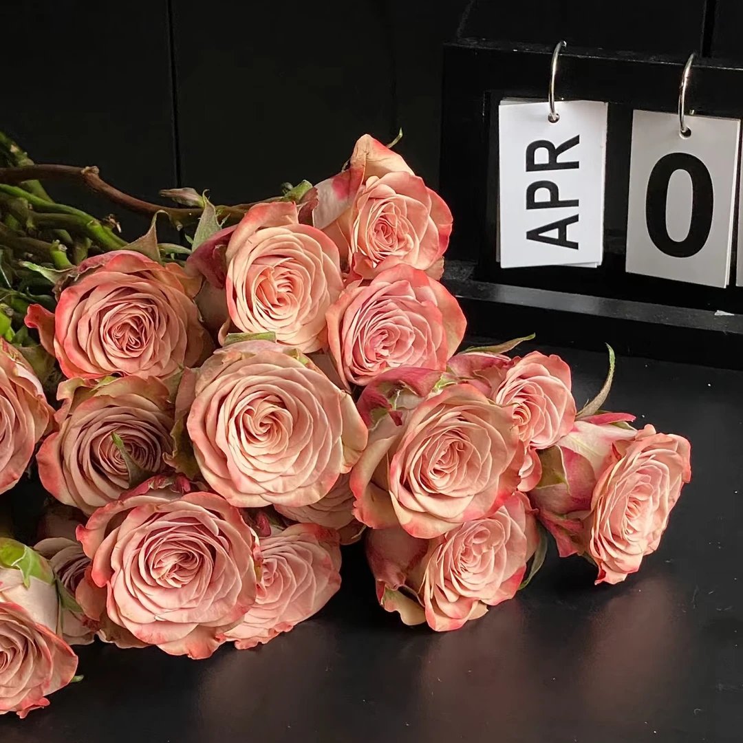 【卡布奇诺玫瑰】全场鲜花任意拍2单送配草 拍3单送花瓶