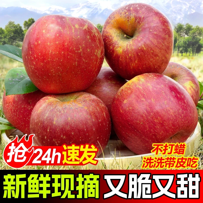 山脆甜水果产地直发1