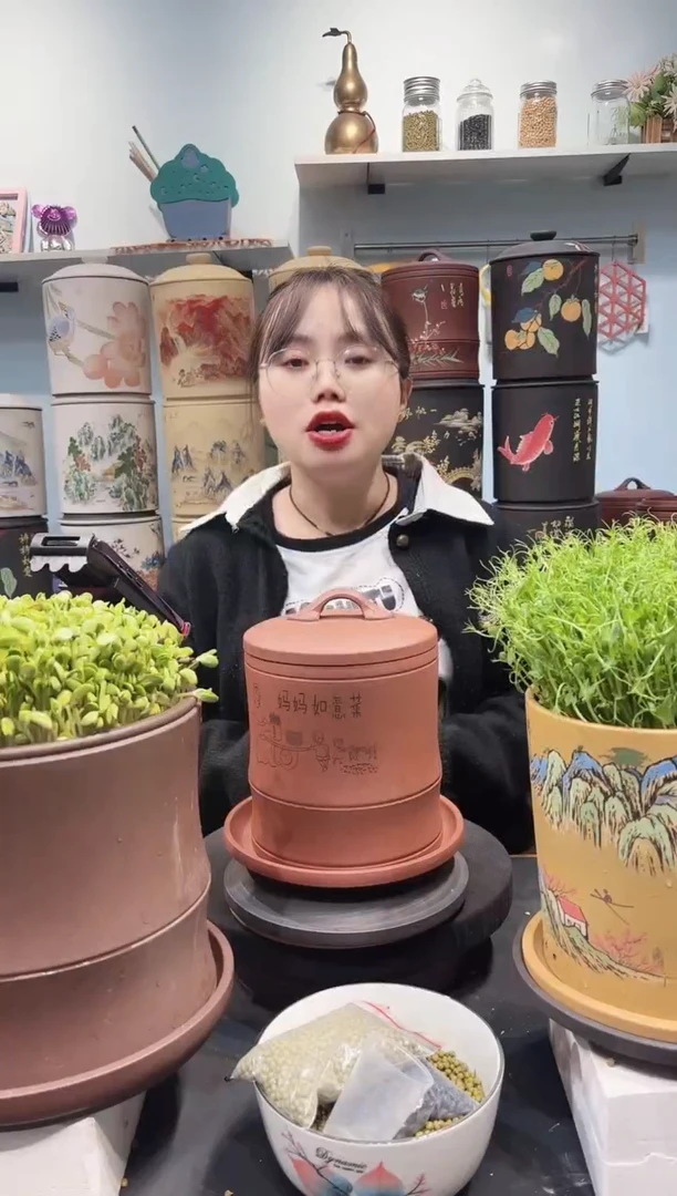 妈妈如意菜 中号 红泥竹节款+紫砂托盘