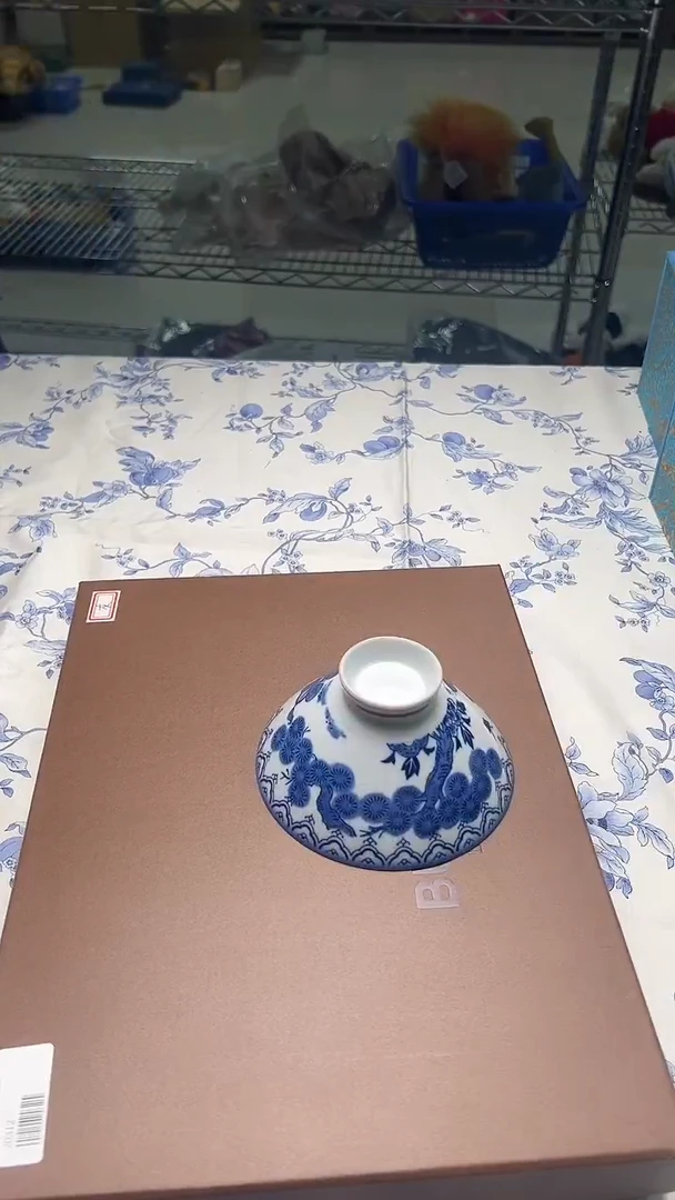 瓷片+10如图所示如图所示
