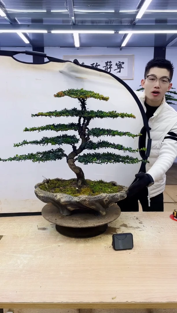 无花朵翎*000000000000