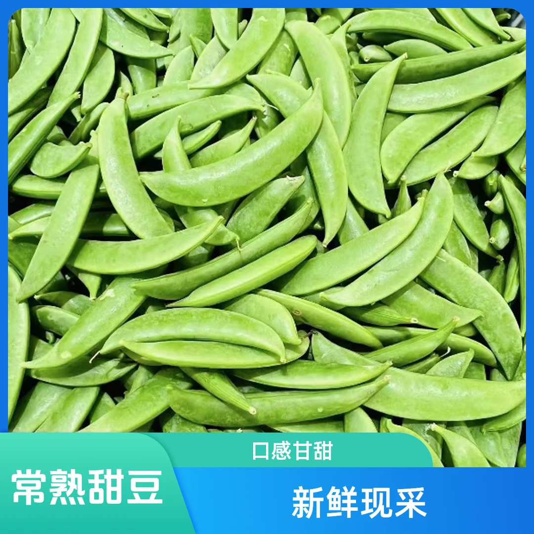 常熟本地新鲜现采甜豆（带壳食用500G）