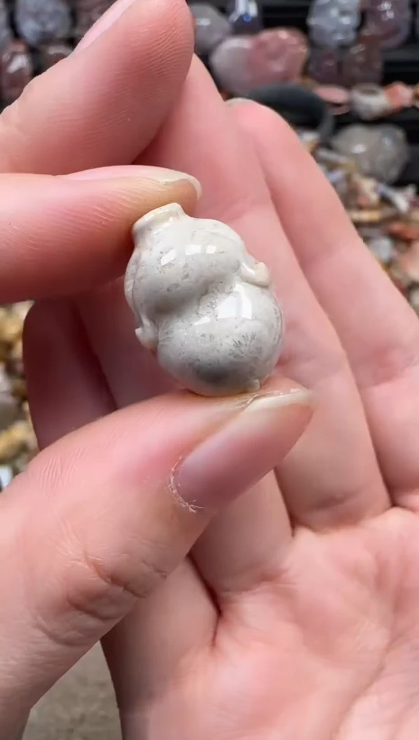 颈饰未镶嵌硅化珊瑚（珊瑚玉）551