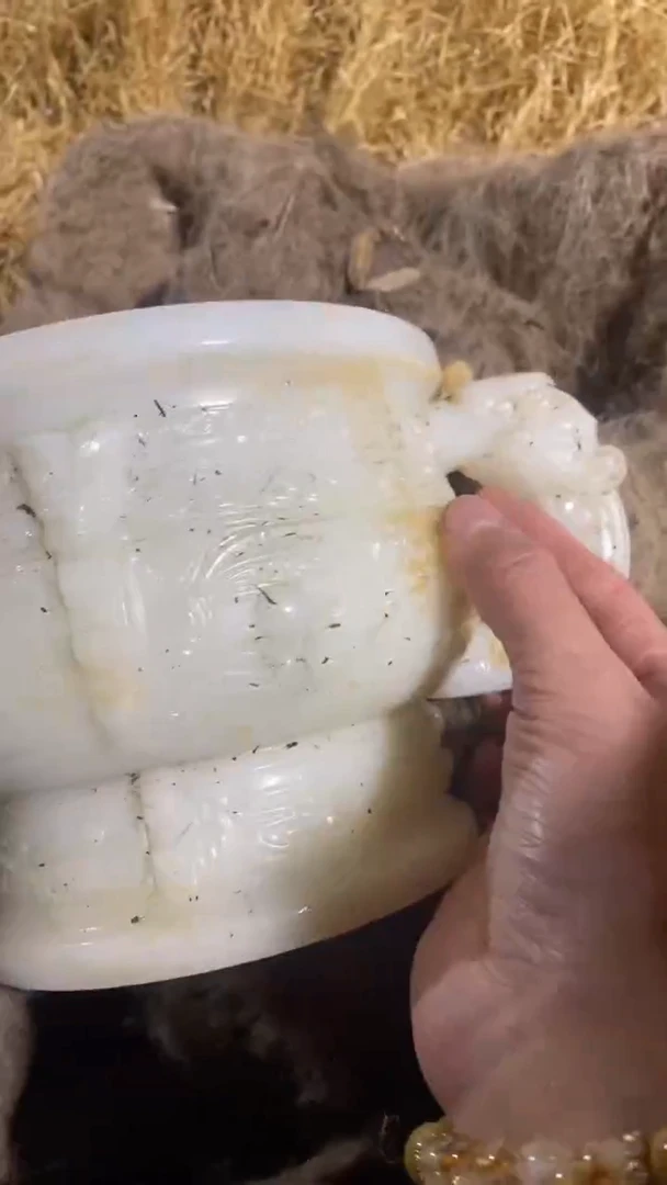 香榧木（1个小复利）