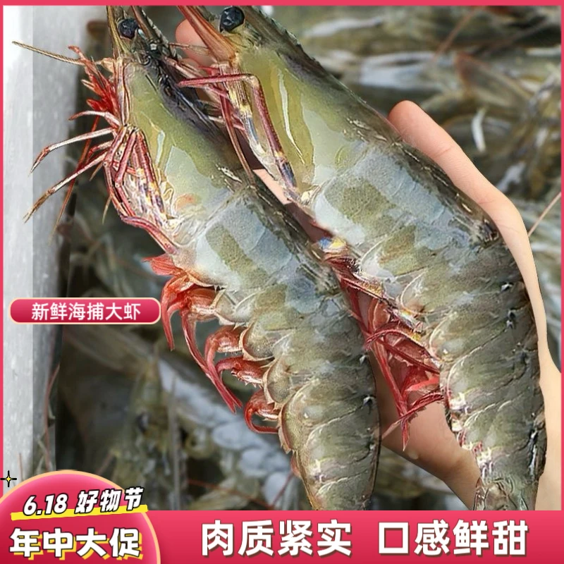 特大号海水大虾海虾5斤活虾冷链发货12-15只左右/斤到手5斤/箱