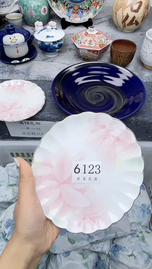 瓷片           6123