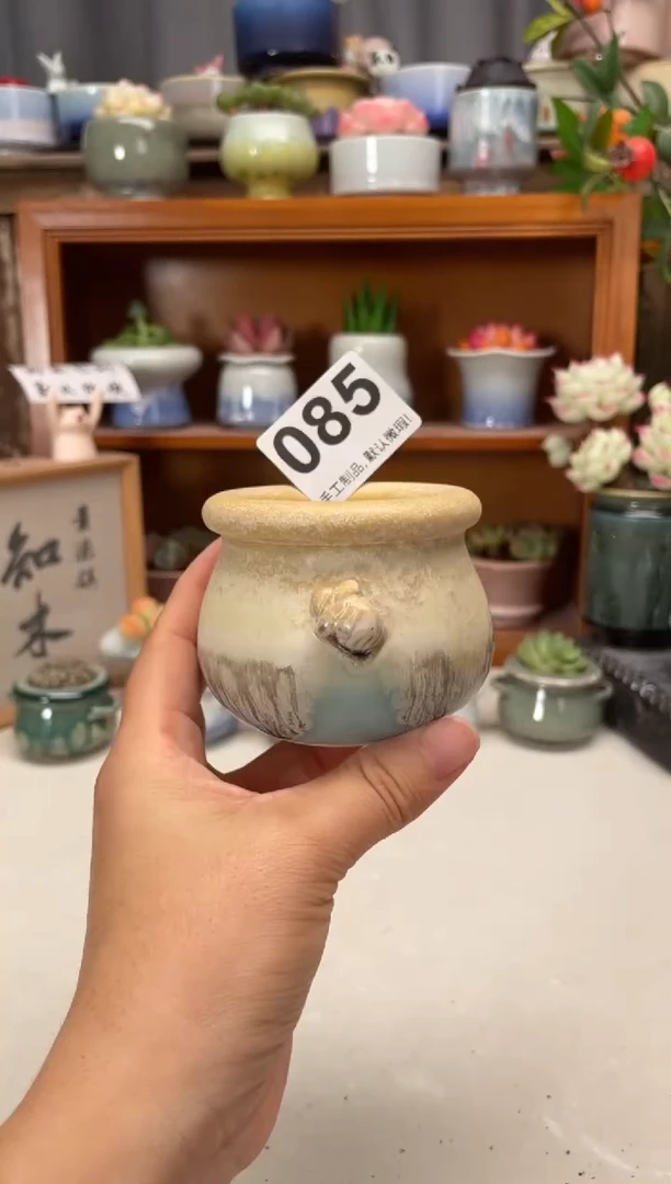 瓷片085知木小芳花盆