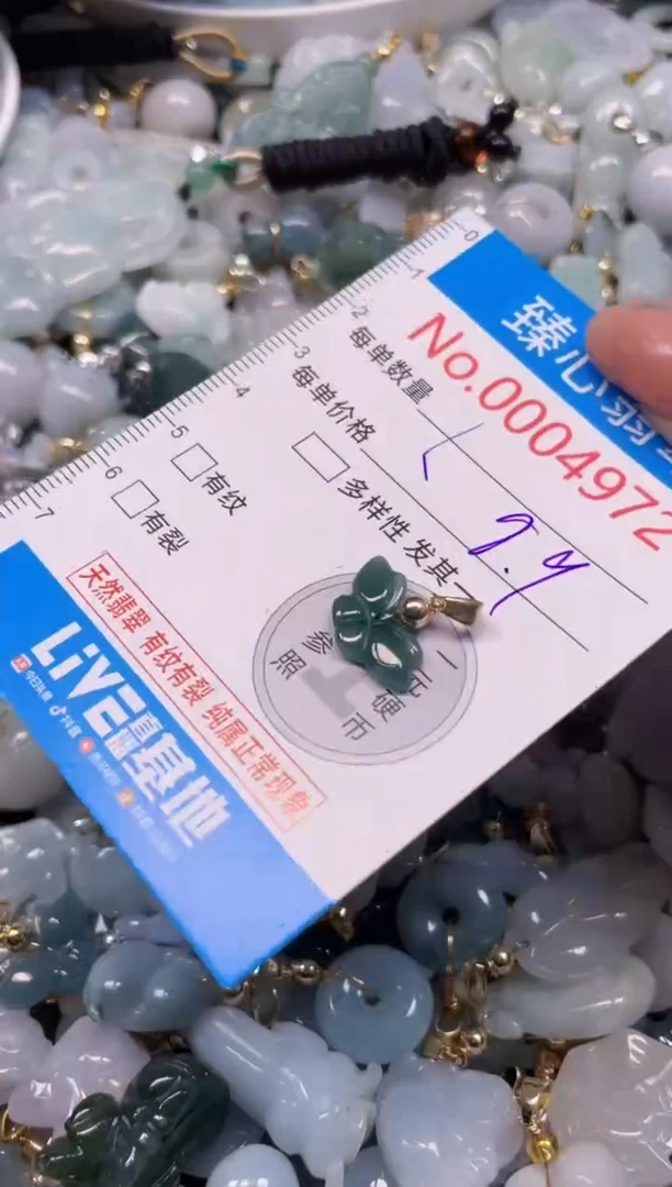 颈饰未镶嵌翡翠4972