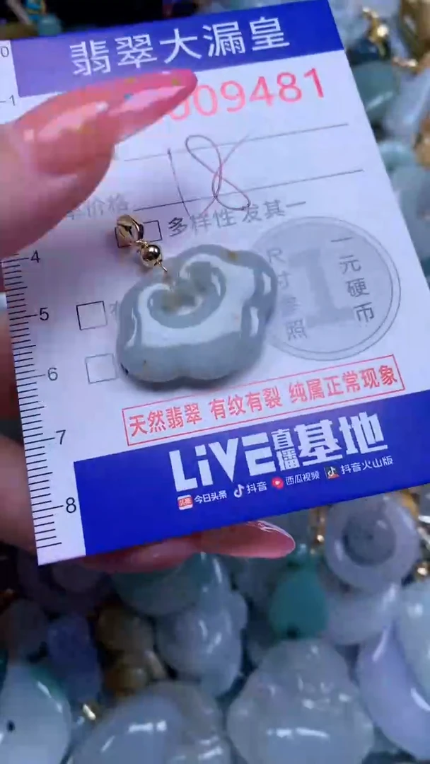 翡翠未镶嵌吊坠(不含链)9481