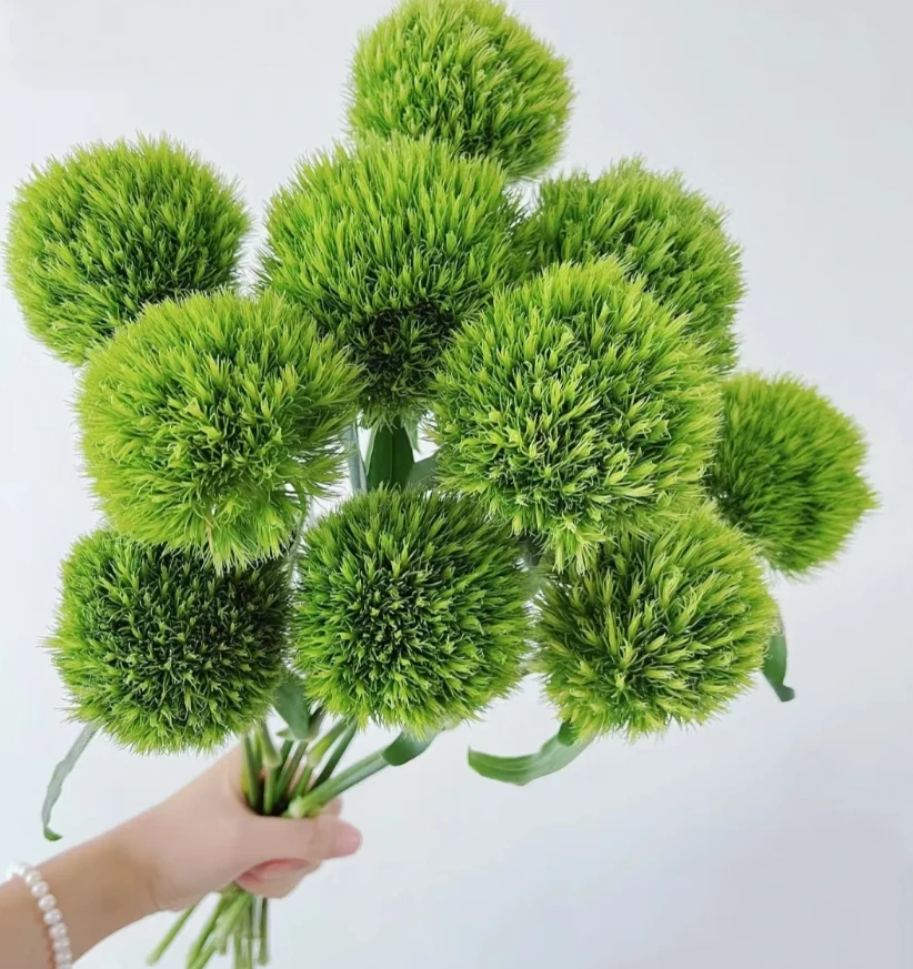 【绿毛球】水培鲜花花期长好养活