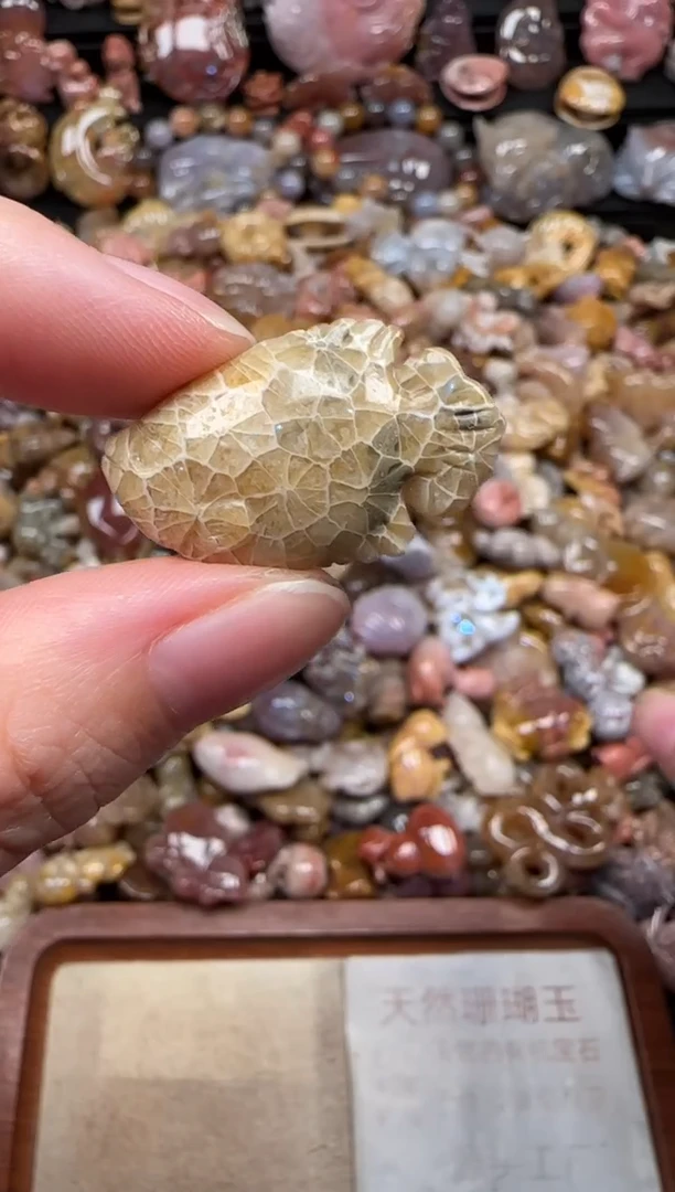 颈饰未镶嵌硅化珊瑚（珊瑚玉）346