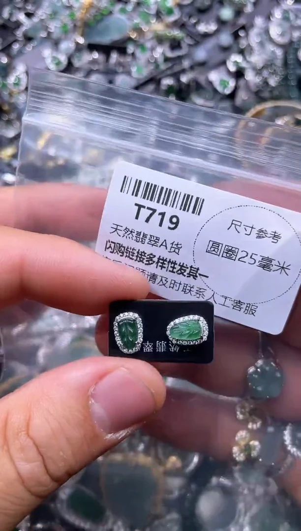 【闪购商品】翡翠颈饰未镶嵌T719耳钉 ab款