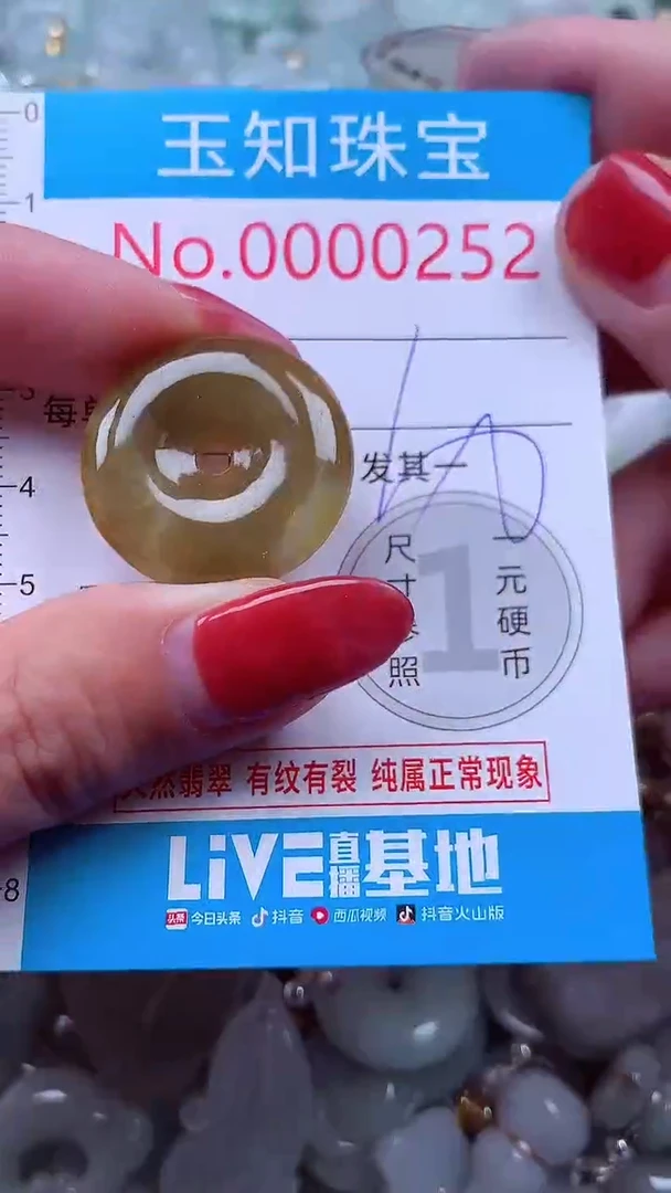 吊坠(不含链)未镶嵌翡翠252