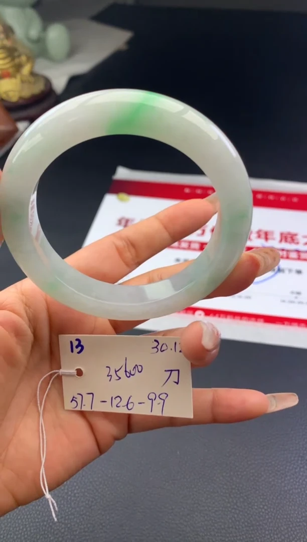 未镶嵌手镯翡翠假一赔三   手镯