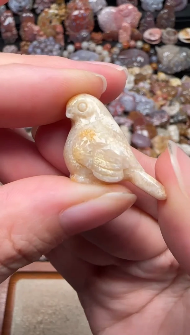 颈饰未镶嵌硅化珊瑚（珊瑚玉）709