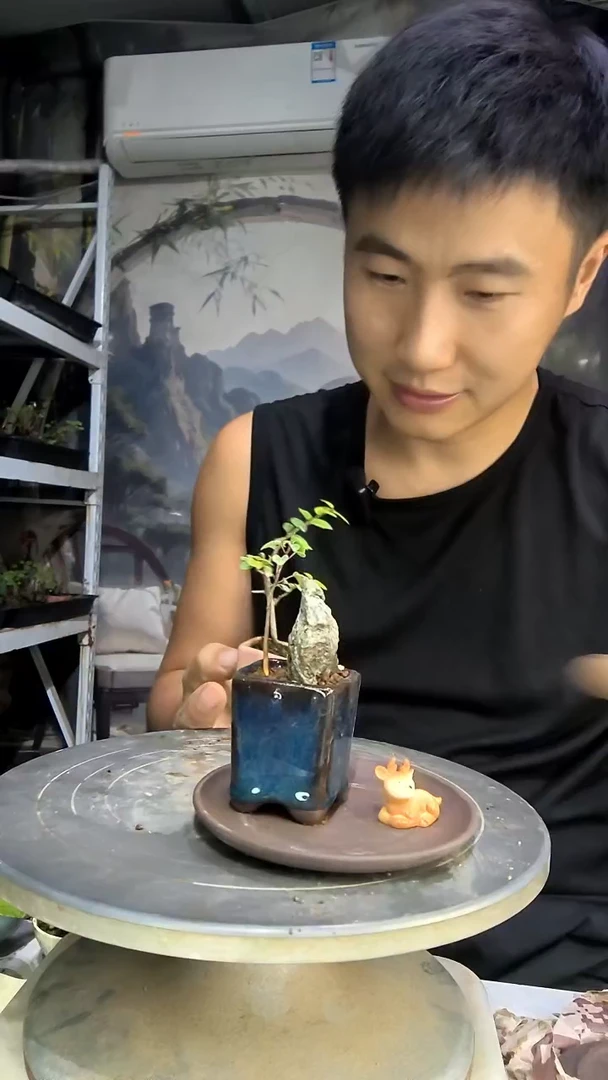 杭*中青园艺一物一拍182