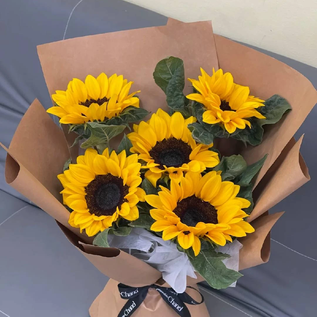 【盼盼鲜花】黑心向日葵 一单陆运/两单升级冷链发 云南鲜花基地