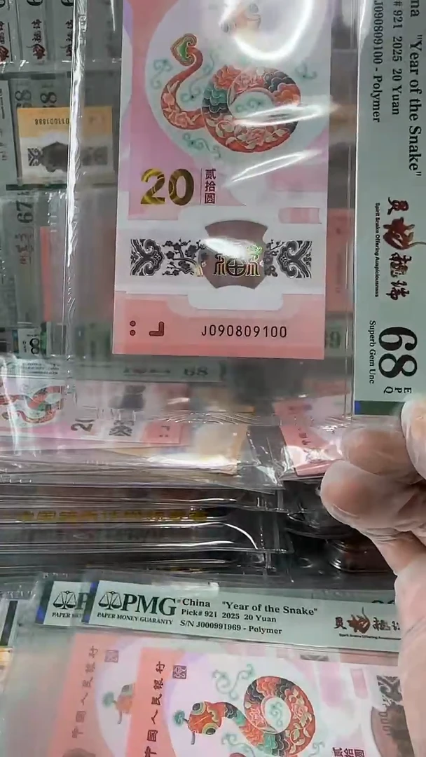 塑料090809100-蛇钞单张