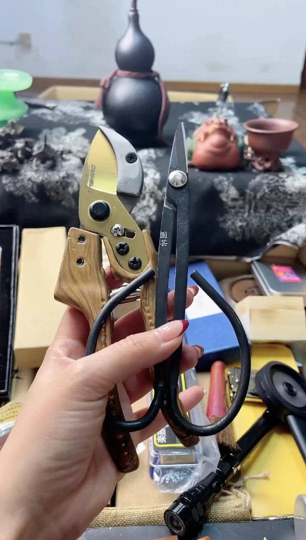 瓷片jianz 慧炎阁甄选正品保障