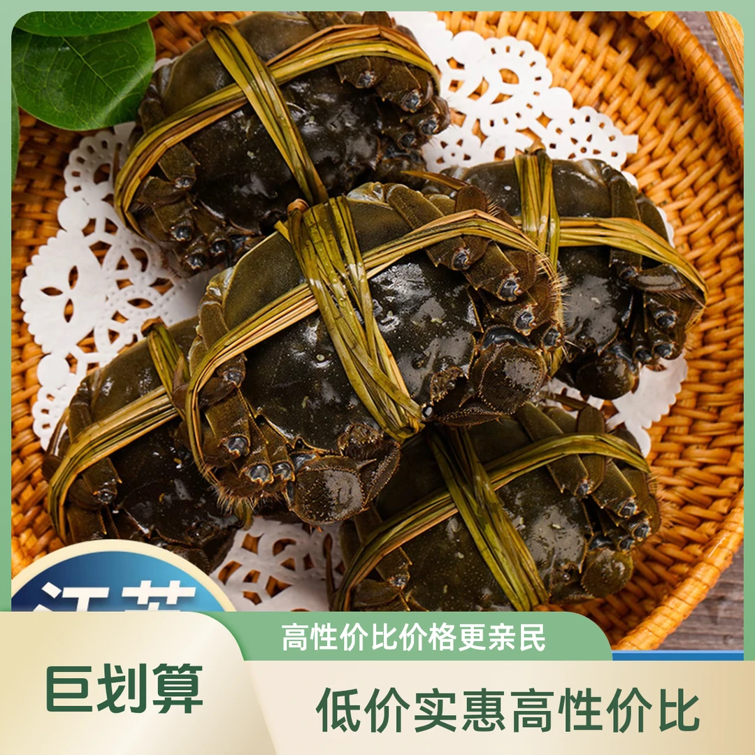 【活蟹现发】江苏精品大闸蟹 全母3.0~2.7两6/8/10只京东快递