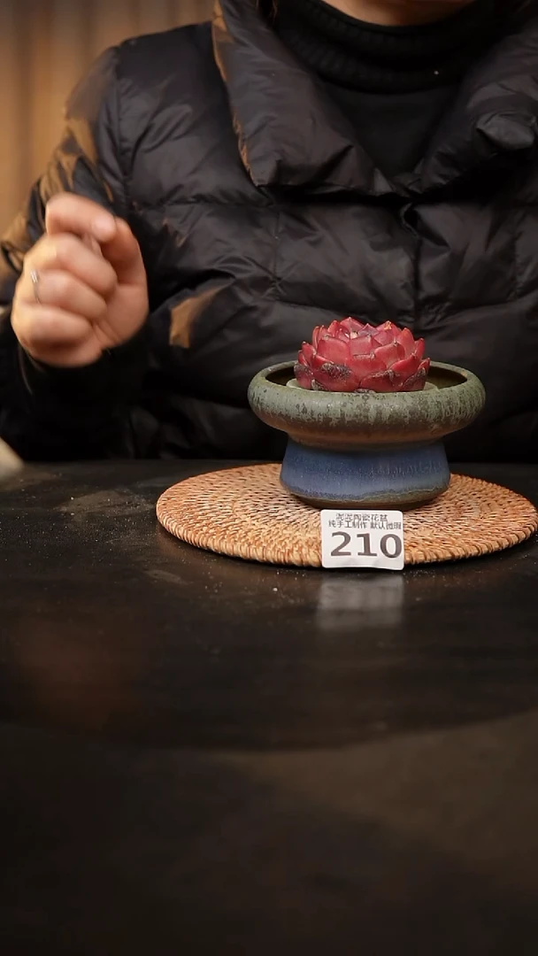 【闪购商品】瓷片210泥泥手工花盆口10高7